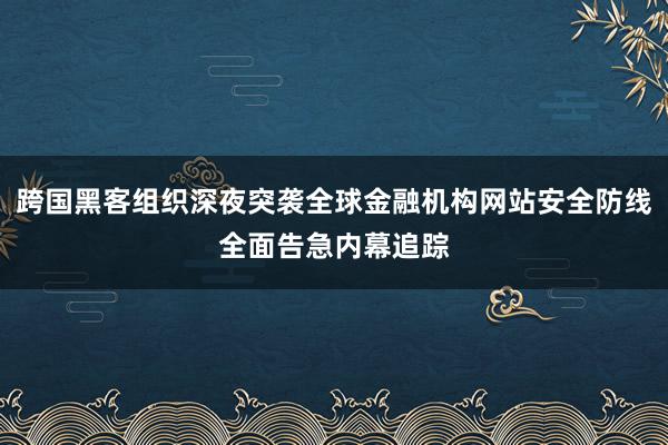 跨国黑客组织深夜突袭全球金融机构网站安全防线全面告急内幕追踪