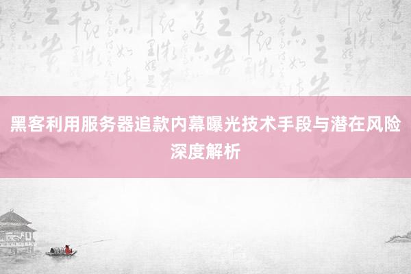 黑客利用服务器追款内幕曝光技术手段与潜在风险深度解析