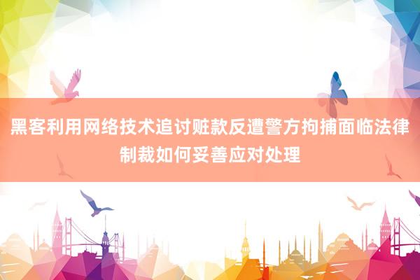 黑客利用网络技术追讨赃款反遭警方拘捕面临法律制裁如何妥善应对处理