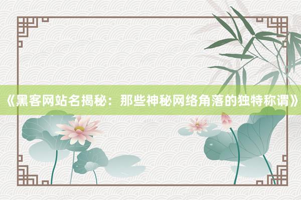 《黑客网站名揭秘：那些神秘网络角落的独特称谓》